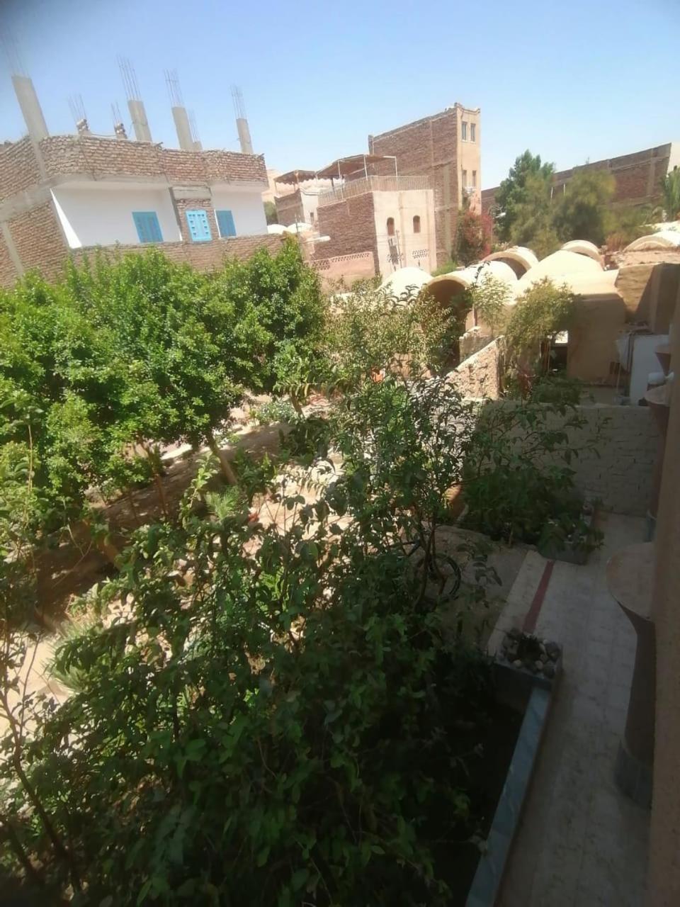 Rose Guest House ลักซอร์ ภายนอก รูปภาพ