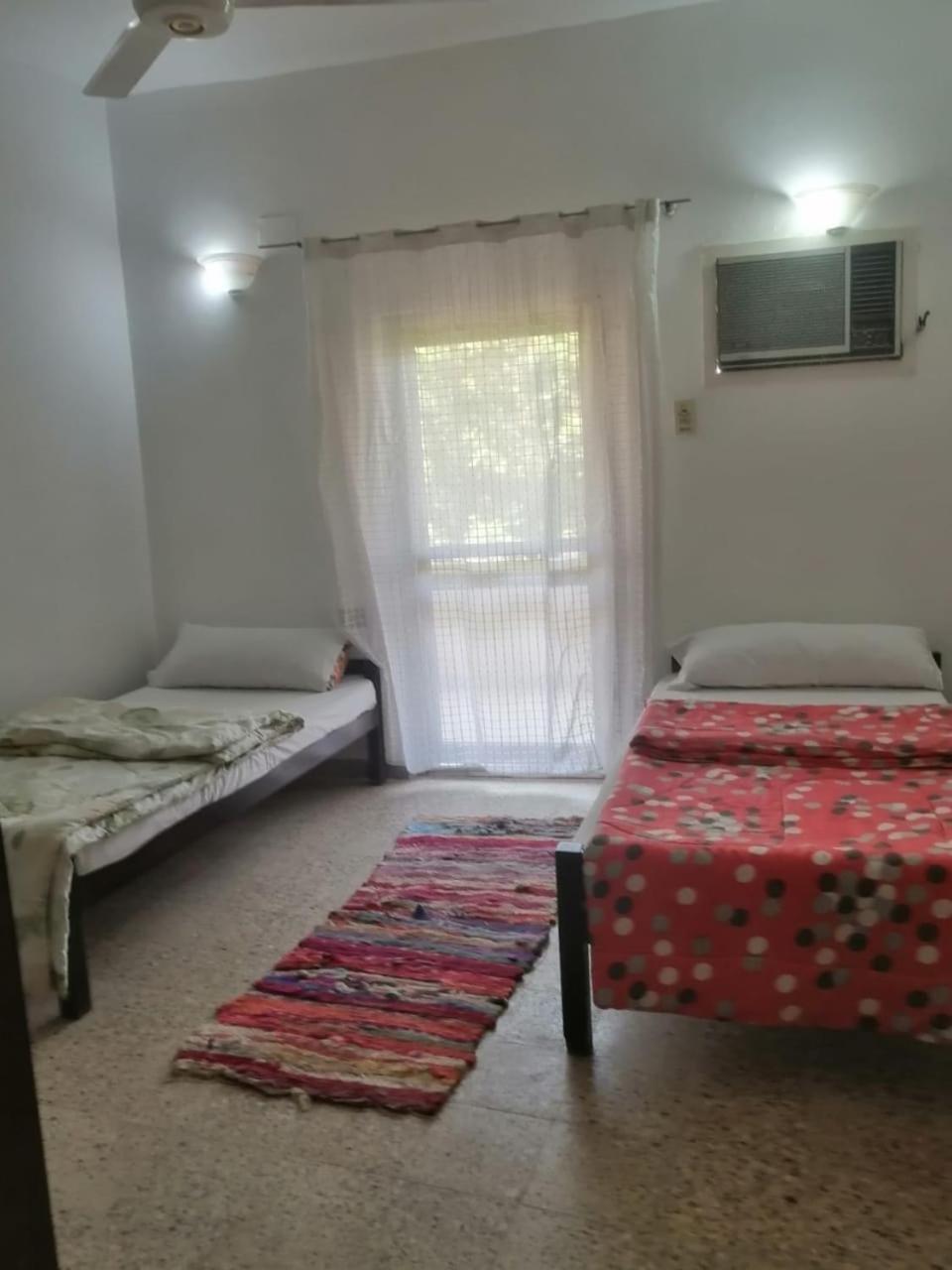 Rose Guest House ลักซอร์ ภายนอก รูปภาพ