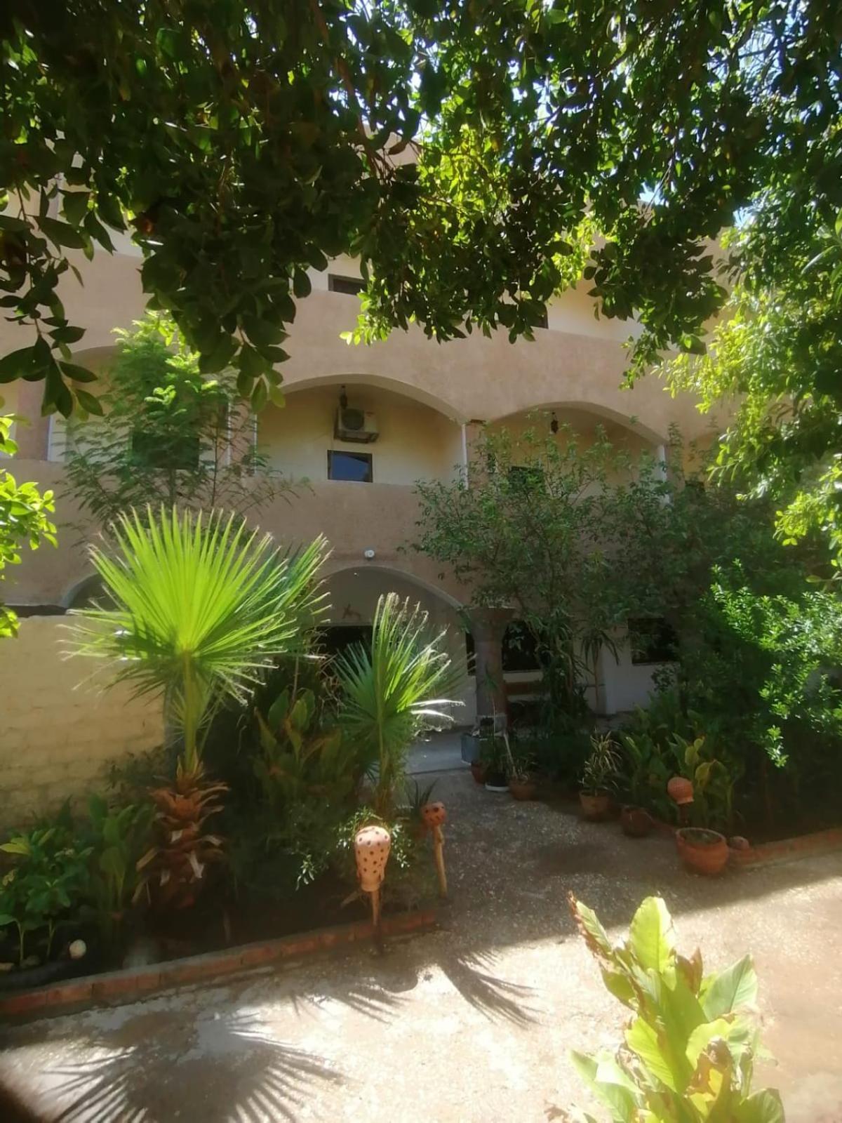 Rose Guest House ลักซอร์ ภายนอก รูปภาพ