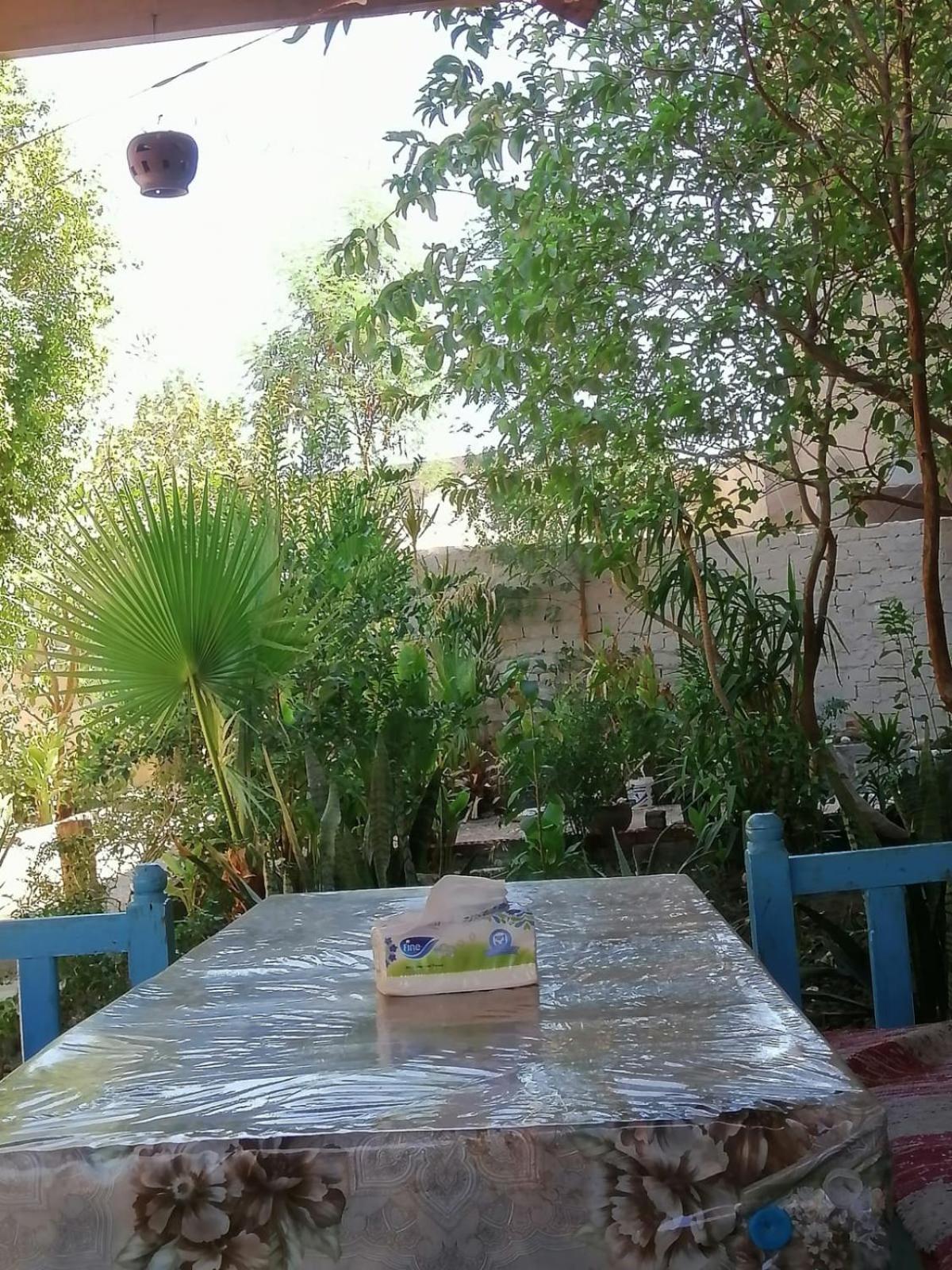 Rose Guest House ลักซอร์ ภายนอก รูปภาพ