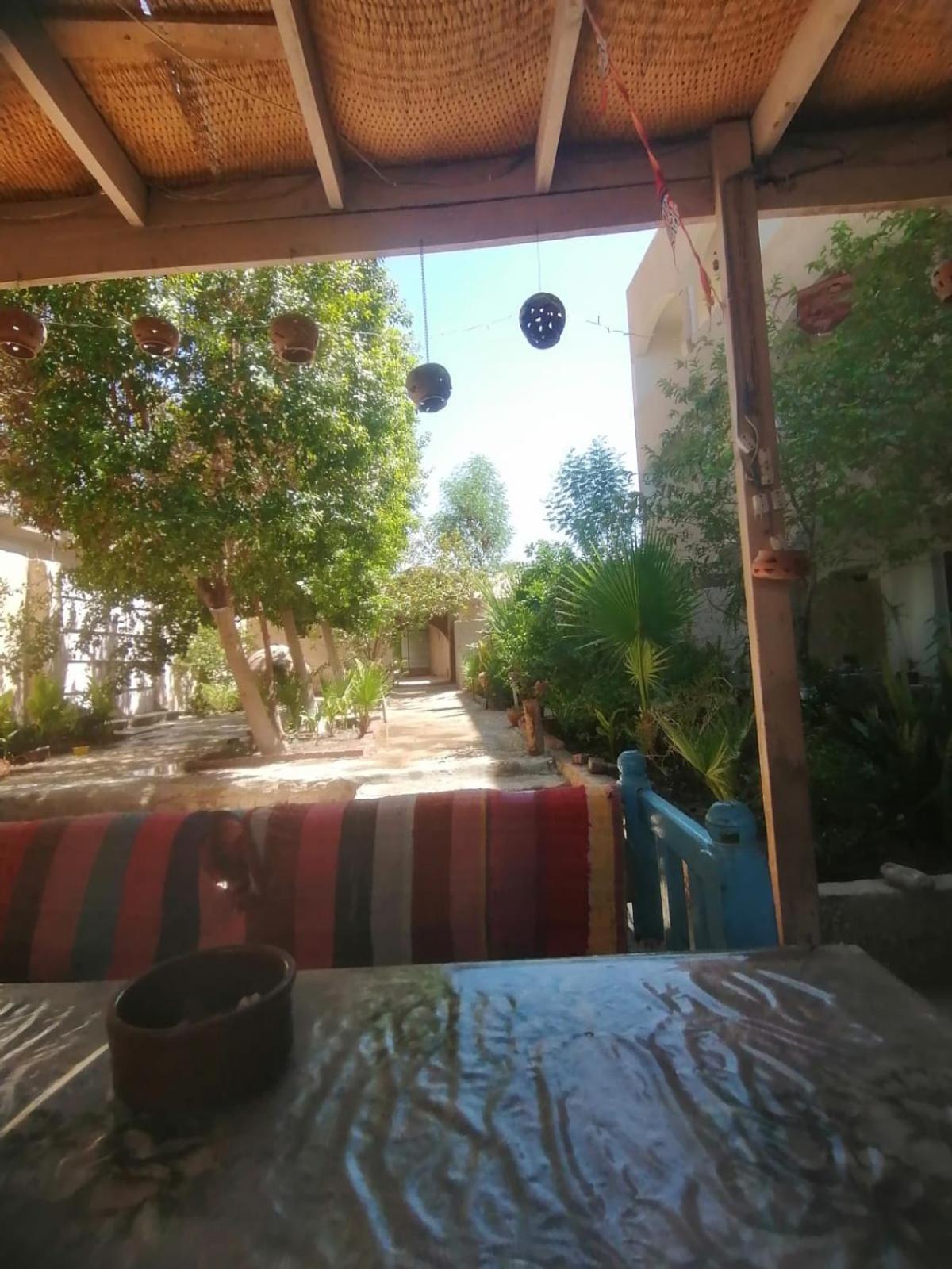 Rose Guest House ลักซอร์ ภายนอก รูปภาพ