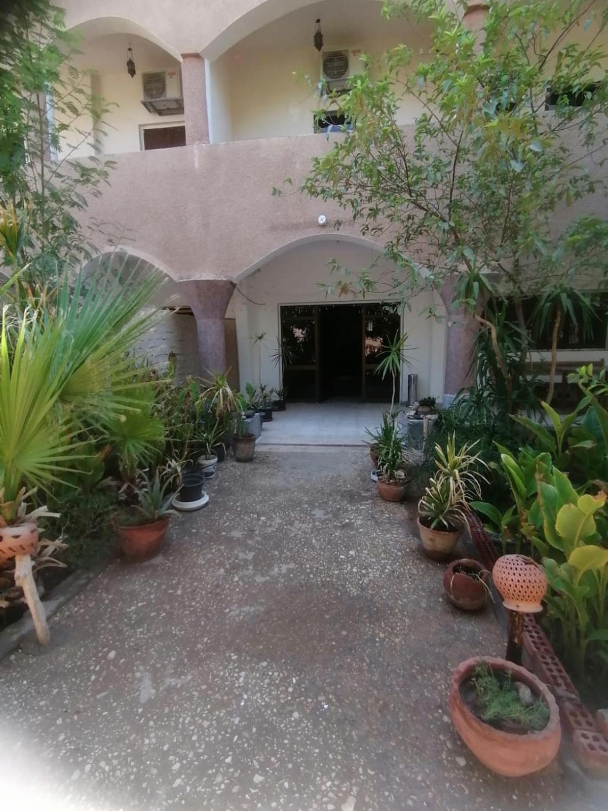 Rose Guest House ลักซอร์ ภายนอก รูปภาพ